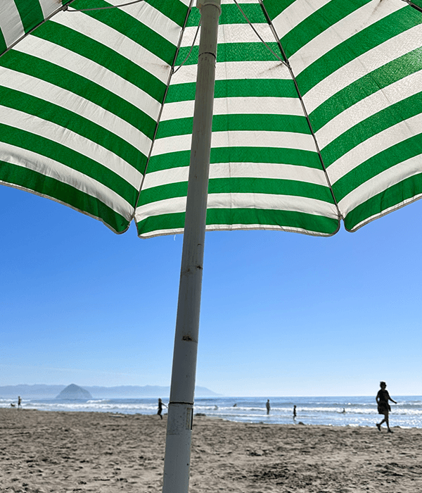 California dreaming.